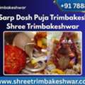 Kaal Sarp Dosh Puja Trimbakeshwar | Shree Trimbakeshwar