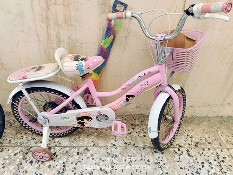 Riyadh, Bicycles, SAR 400250100,  Bicycle