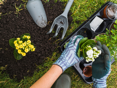 London, Farm/Garden, Reliable Gardening & Landscaping Services Company In Hayes & Uxbridge