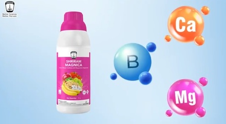 Mumbai, Farm/Garden, Shriram Magnica Crop Nutrition Solution For Stronger Crops & Yield