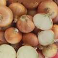 Premium Golden Onions