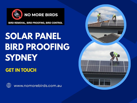 Sydney, Household, Solar Panel Bird Proofing Sydney