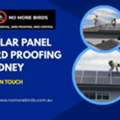 Solar Panel Bird Proofing Sydney