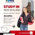 Study In New Zealand For Indian Students With IOES Support