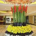 Elegant Flower Decorations For Weddings Events And Luxury Spaces