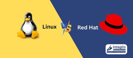 New Delhi, Education, Difference Between Red Hat And Linux