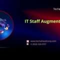 Cost-Effective IT Staff Augmentation For Faster Project Delivery
