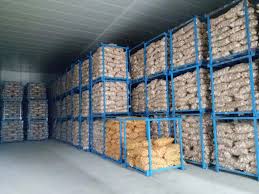 Ahmedabad, Business, Potato Cold Storage Manufacturer In Ahmedabad