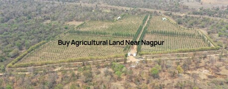 Nagpur, Agricultural Land, Things To Know Before Leasing Agricultural Land Near Nagpur
