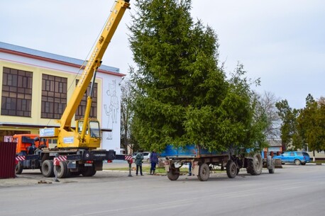 New York, Construction, Crane Rental For Tree Removal In CA &ndash; Fast & Damage-Free Service
