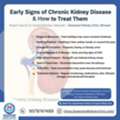 Early Signs Of Chronic Kidney Disease And How To Treat Them