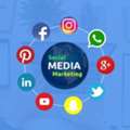 Grow Your Roots With Social Media Marketing Agency