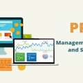 Maximize Target Audience With PPC Management Service