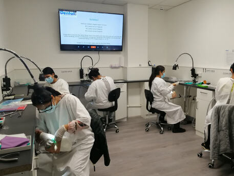 Melbourne, Lessons Offered, Dental101