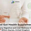 Best Gut Health Supplements For A Healthier Digestive System - Harmony