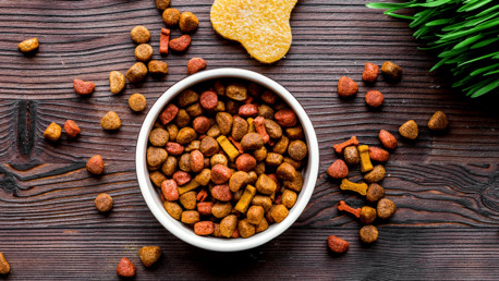 Abu Dhabi, Pet Supplies, AED 100,  Save Big On Pet Supplies &ndash; Petzone Coupon Codes & Deals