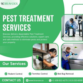 Ottawa, Pest Control, Reliable Pest Treatment Services Ottawa