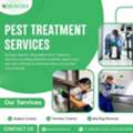 Reliable Pest Treatment Services Ottawa