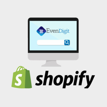 Mumbai, Web Design & Development, Shopify SEO Services To Scale Your Online Store