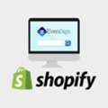 Shopify SEO Services To Scale Your Online Store