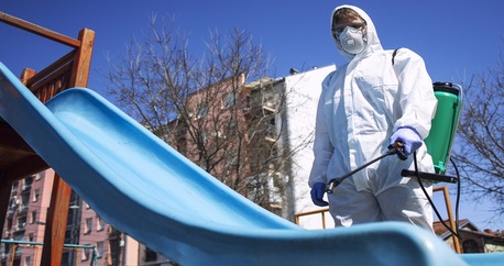 Sydney, Pest Control, Trusted Pest Control Solutions For Homes Businesses