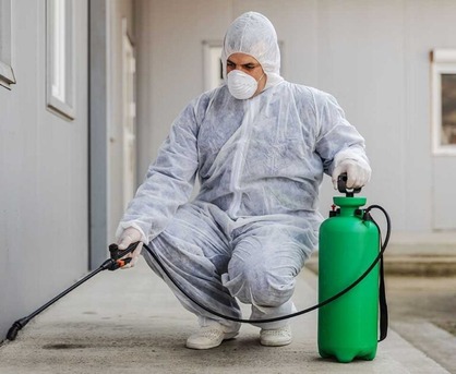 London, Pest Control, How To Choose A Professional Bed Bug Exterminator In Nottingham?