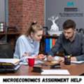 Microeconomics Assignment Help For Accurate And Conceptual Learning