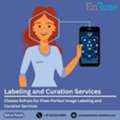 Choose EnFuse For Pixel-Perfect Image Labeling And Curation Services