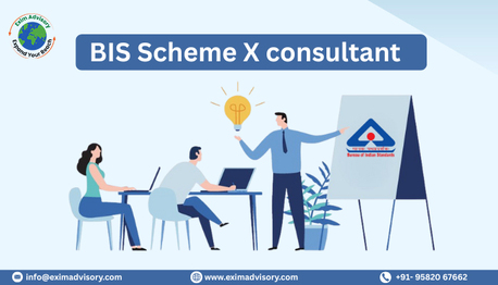 Noida, Legal, BIS Scheme X Consultant &ndash; Expert Compliance Support