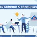 BIS Scheme X Consultant &ndash; Expert Compliance Support