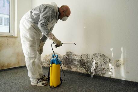 New York, Construction, Certified Mold Removal & Remediation Specialist Hackensack NJ