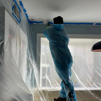 New York, Construction, Certified Mold Removal & Remediation Specialist Hackensack NJ