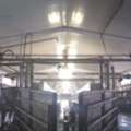 Build A High-Performance Dairy Facility With Duramax Vinyl Panels