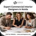 Expert Commercial Interior Design Solutions In Noida
