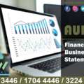 Audit Financial Business Statement