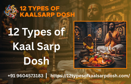 Mumbai, Business, Kaal Sarp Dosh Puja For All 12 Types