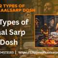 Kaal Sarp Dosh Puja For All 12 Types