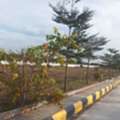 INR 28999,  600 Sq. Yard,  HMDA Plots In Gollur - Call 6305534817 For Site Visit*