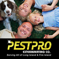 New York, Pest Control, Pest Pro Exterminating