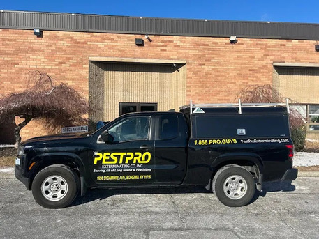 New York, Pest Control, Pest Pro Exterminating