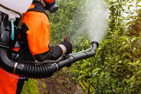 New York, Pest Control, Pest Pro Exterminating