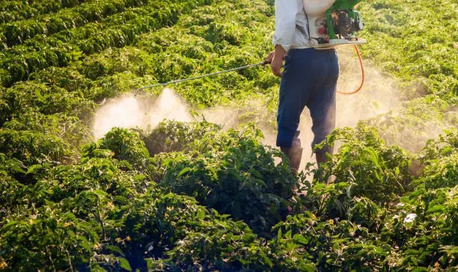 New York, Pest Control, Pest Pro Exterminating