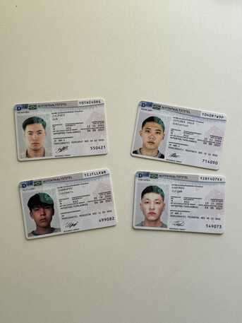 Quebec City, Software, CAD 2345,  Koop Een Echt Geregistreerd Amerikaans Rijbewijs, BSN-certificaten (+49 176 36223102), Rij