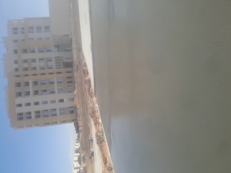 Riyadh, Construction, FLOOR Casting Department Printed Pigmant All Kinds Of Concret Installation Of Asphalt Epox