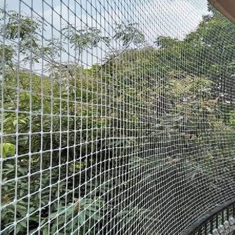 Ahmedabad, Industrial Machinery, INR 20,  Bird Safety Net In Ahmedabad