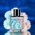 Discover Premium Perfumes SG For Lasting Fragrance Experiences
