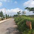 INR 45999,  120 Sq. Yard,  HMDA Plots For Sale Tukkuguda Hyderabad 9701498367