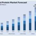 India Plant Based Protein Market Size, Share & Outlook | Get Free Sample