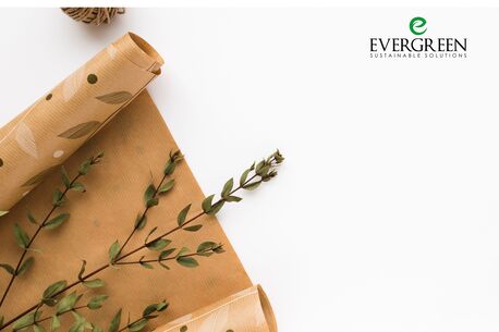 Haryana, Business, Sustainable Food Packaging Paper From Evergreen Sustainable Solutions