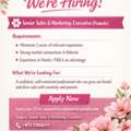 Senior Sales & Marketing Executive (Female)